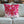 Lot's of Love Pink Hearts Indoor Outdoor Throw Pillow