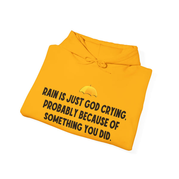 Sarcastic Rain Quote Sweatshirt Hoodie