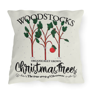 throw pillow with 'Charlie Brown Christmas Outdoor' design