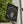 Pirate Skull Dead Men Tell No Tales Yard Flag