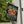 Sleepy Hollow Pumpkin Farms Halloween Yard Flag