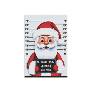 Santa Mug Shot Funny Christmas Yard Flag