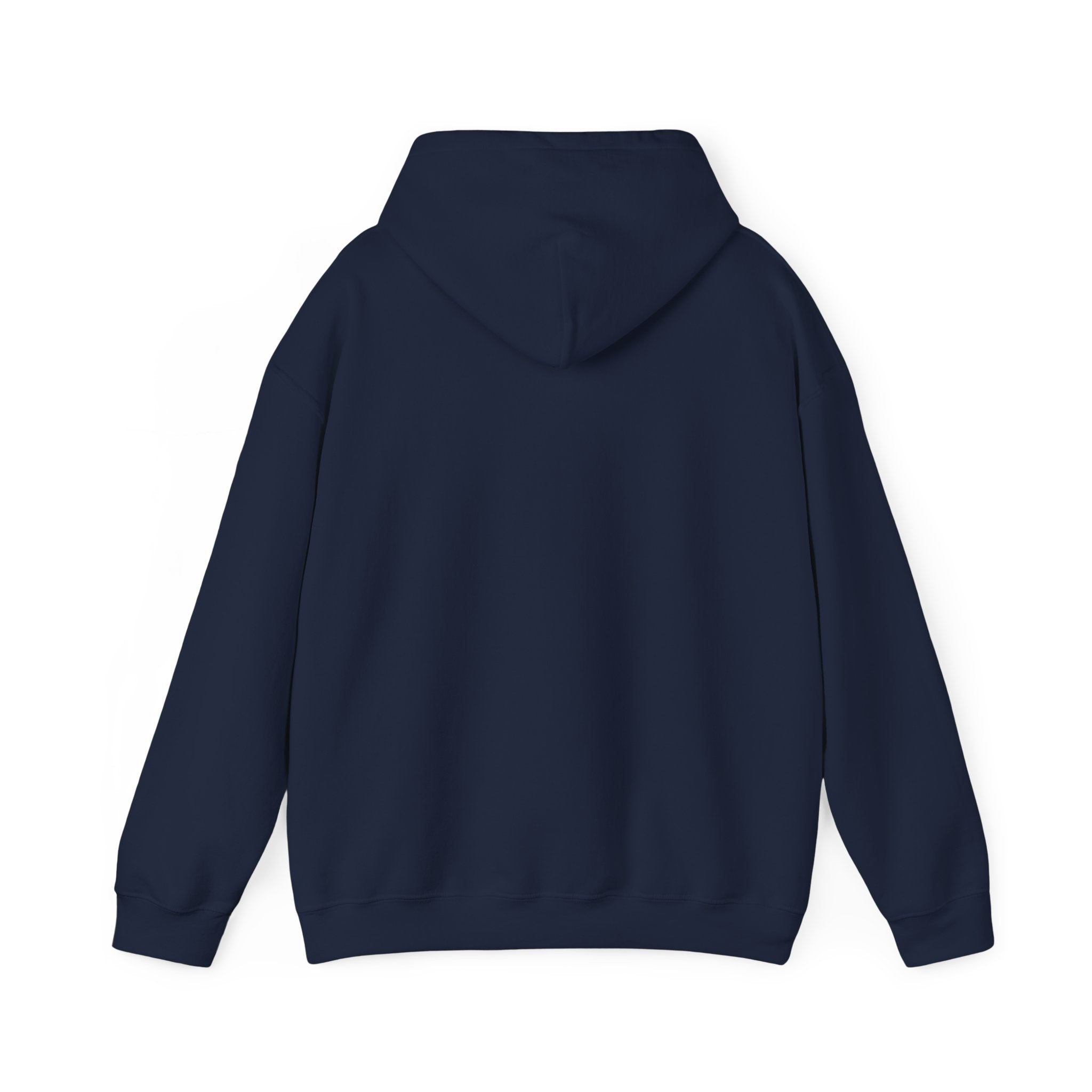 Sarcastic Rain Quote Sweatshirt Hoodie