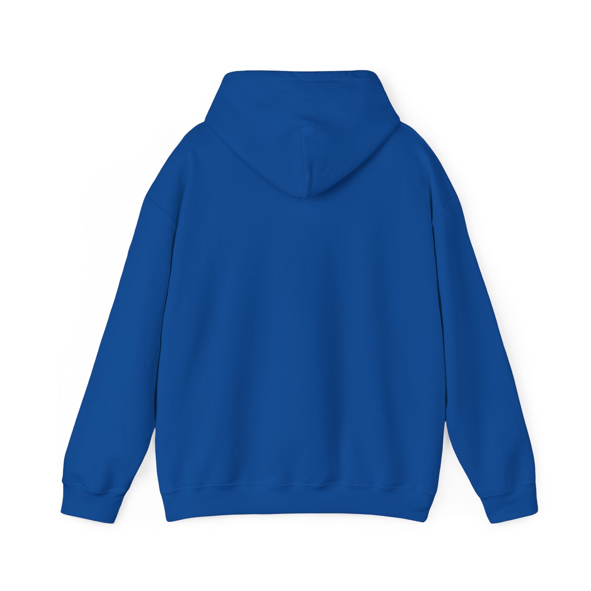 Sarcastic Rain Quote Sweatshirt Hoodie