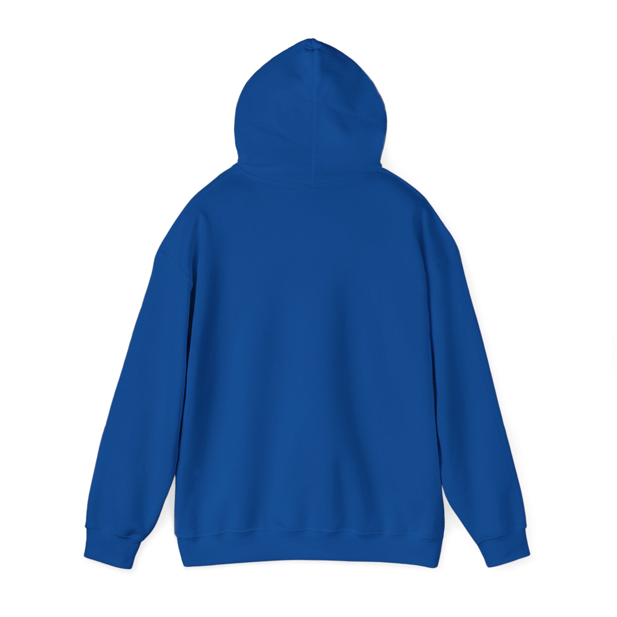 Sarcastic Rain Quote Sweatshirt Hoodie