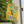 We're Back Mosquito Spring Summer Funny Yard Flag