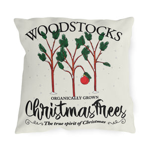 throw pillow with 'Charlie Brown Christmas Outdoor' design