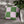 SW Paradox Lilac Green Checkered Faux Suede Pillow Cover