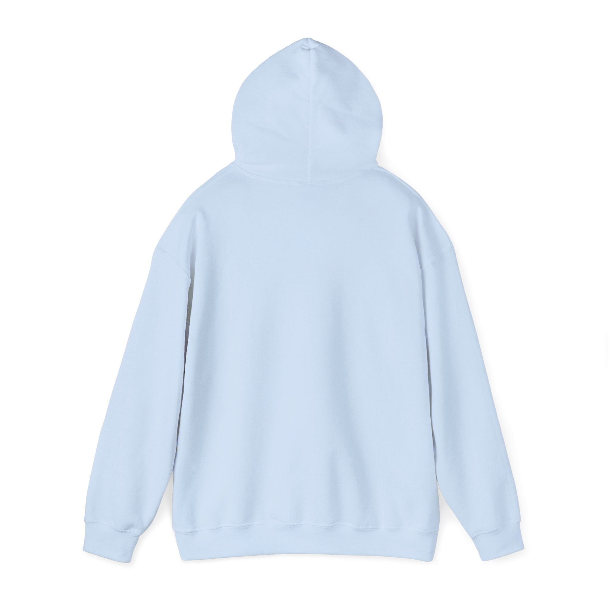 Sarcastic Rain Quote Sweatshirt Hoodie