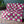 Checkered White & Pink Chic Couch Throw Blanket