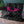 Pink Bat chic black checkered throw blanket
