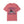 Ride or Die Witches Comfort Colors® T-Shirt
