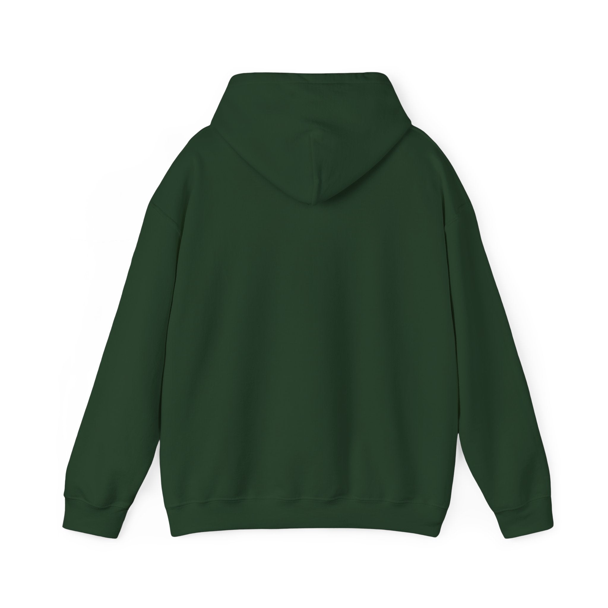 Sarcastic Rain Quote Sweatshirt Hoodie