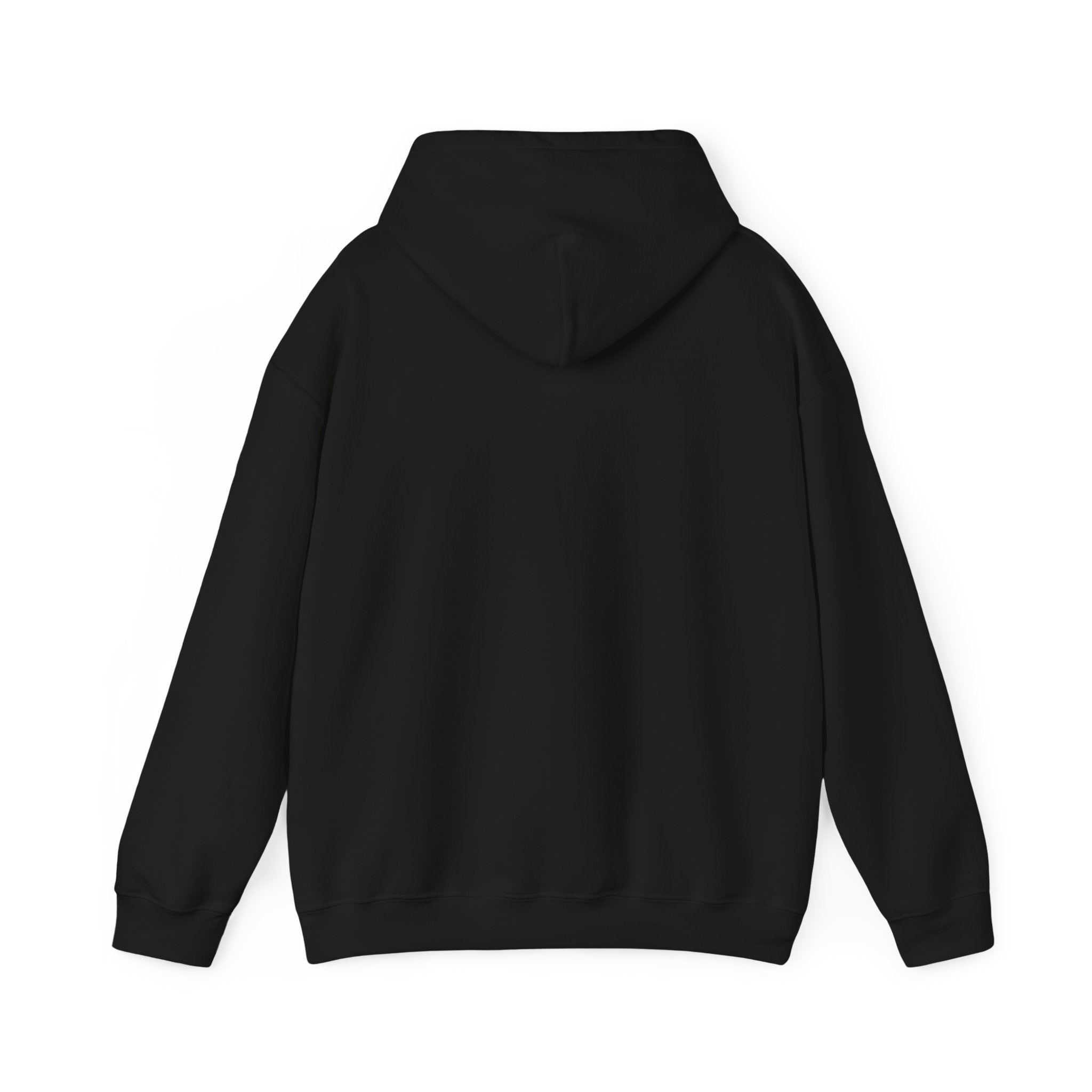 Sarcastic Rain Quote Sweatshirt Hoodie