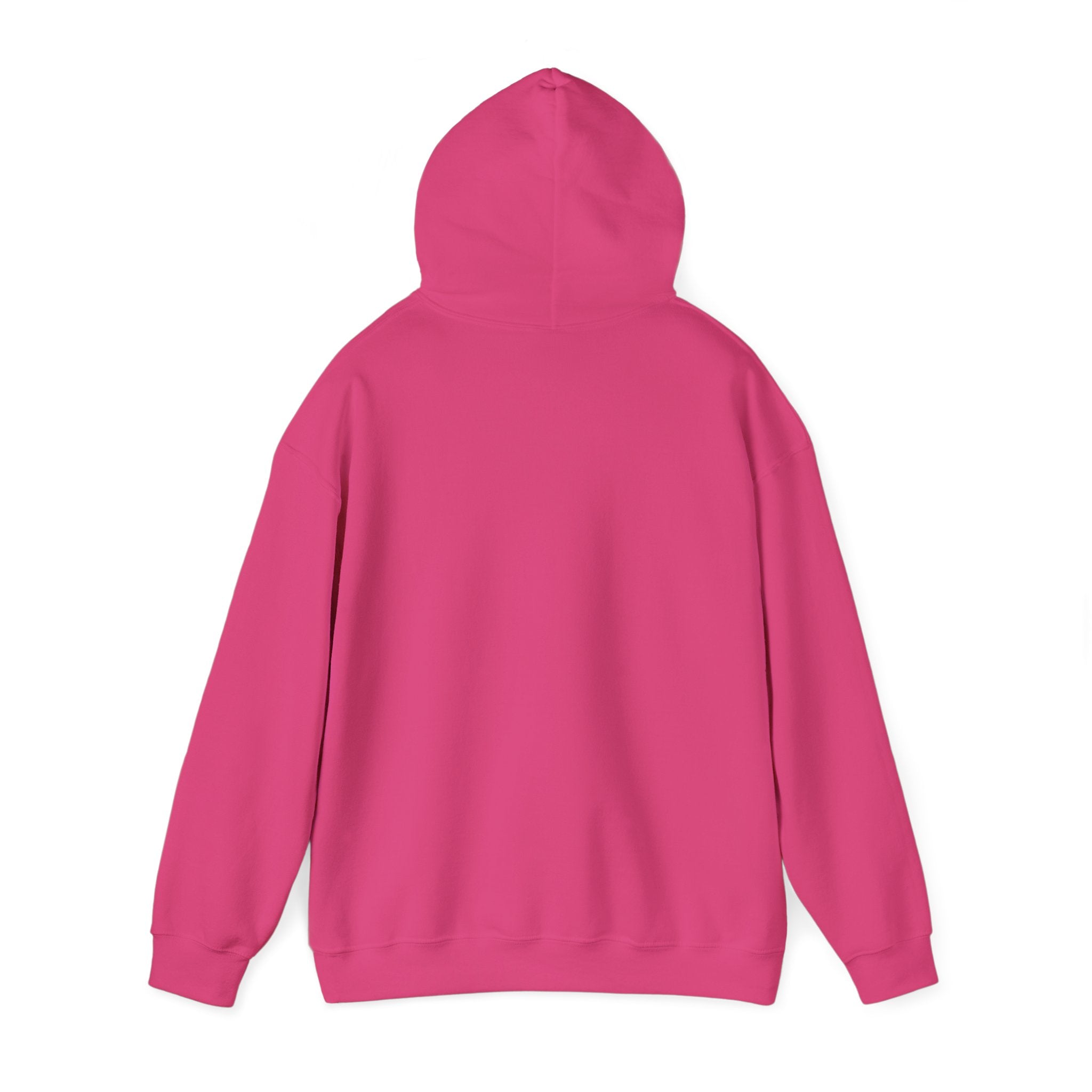 Sarcastic Rain Quote Sweatshirt Hoodie