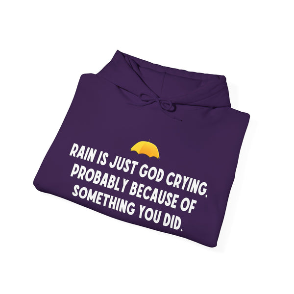 Sarcastic Rain Quote Sweatshirt Hoodie