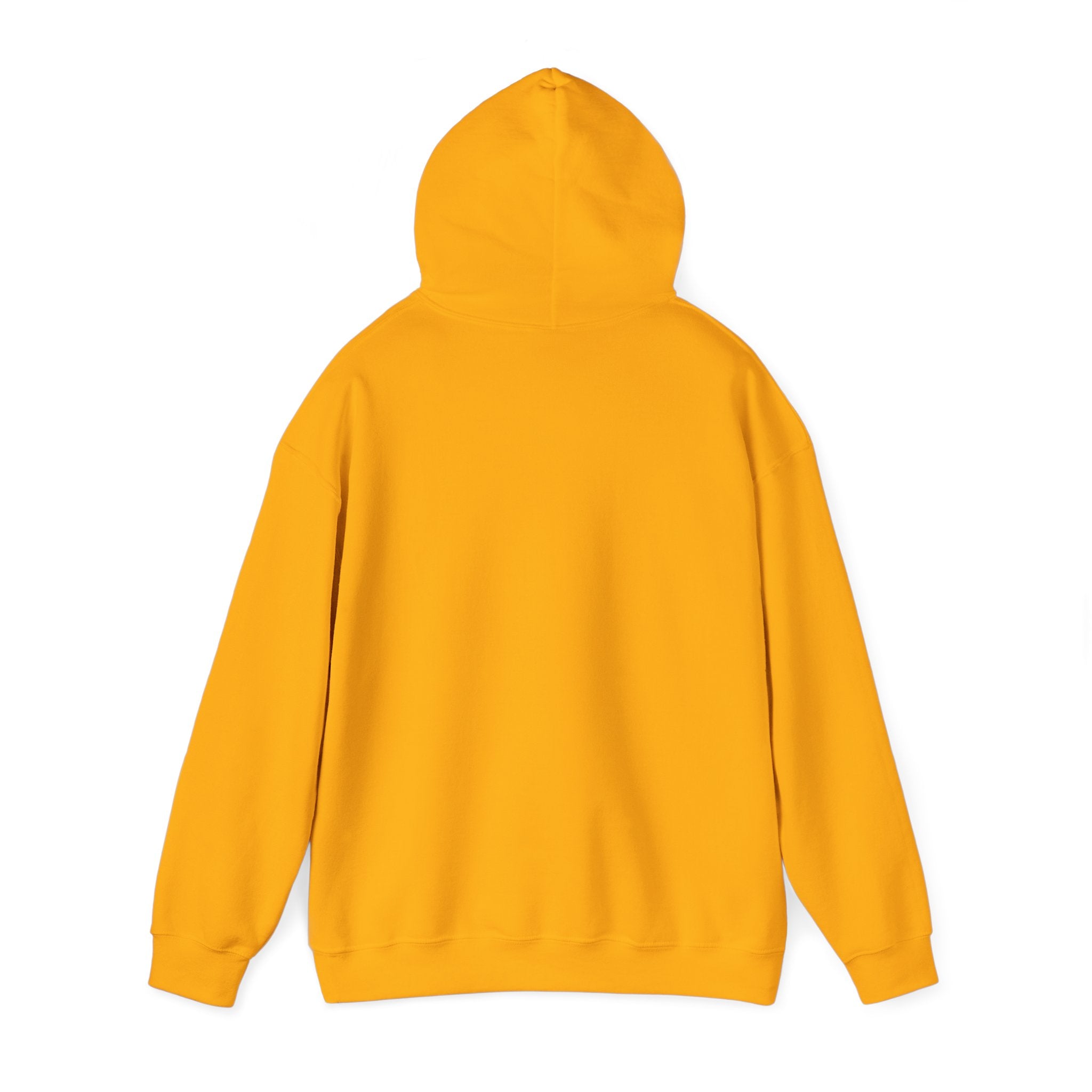 Sarcastic Rain Quote Sweatshirt Hoodie