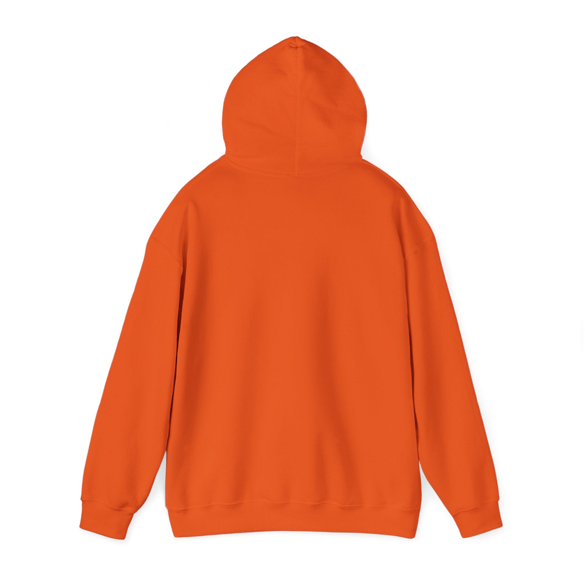 Sarcastic Rain Quote Sweatshirt Hoodie