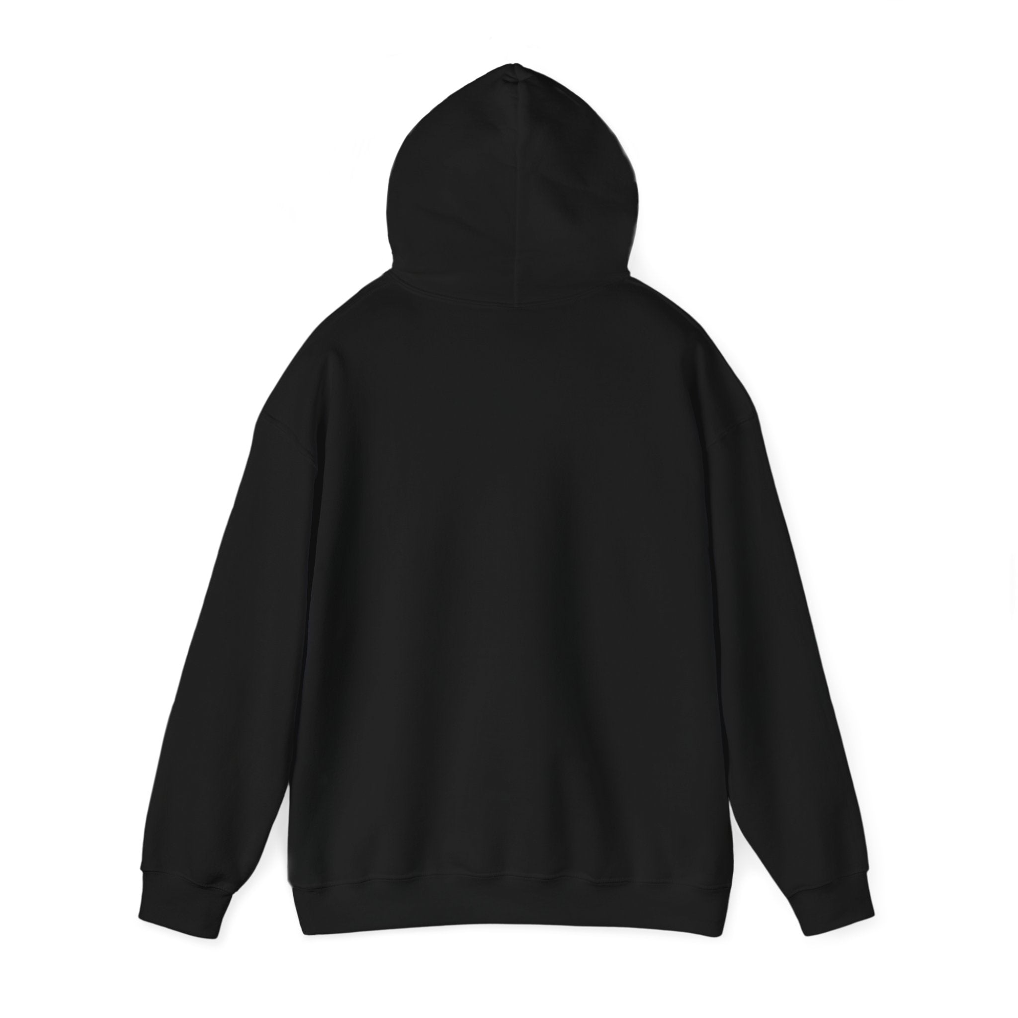 Sarcastic Rain Quote Sweatshirt Hoodie