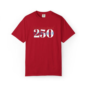 Embroidered Semiquincentennial July 4th T-Shirt Comfort Colors®