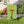 A rectangular garden flag hanging from a black metal stand in a grassy yard. The flag features an illustration of a yellow lampshade on a leg with fishnet stockings and a black high heel, set against a light green background.