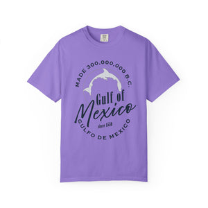Gulf of Mexico 1550 Travel Comfort Colors® T-Shirt