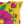 Vibrant Yellow & Pink Floral Indoor Outdoor Accent Pillow