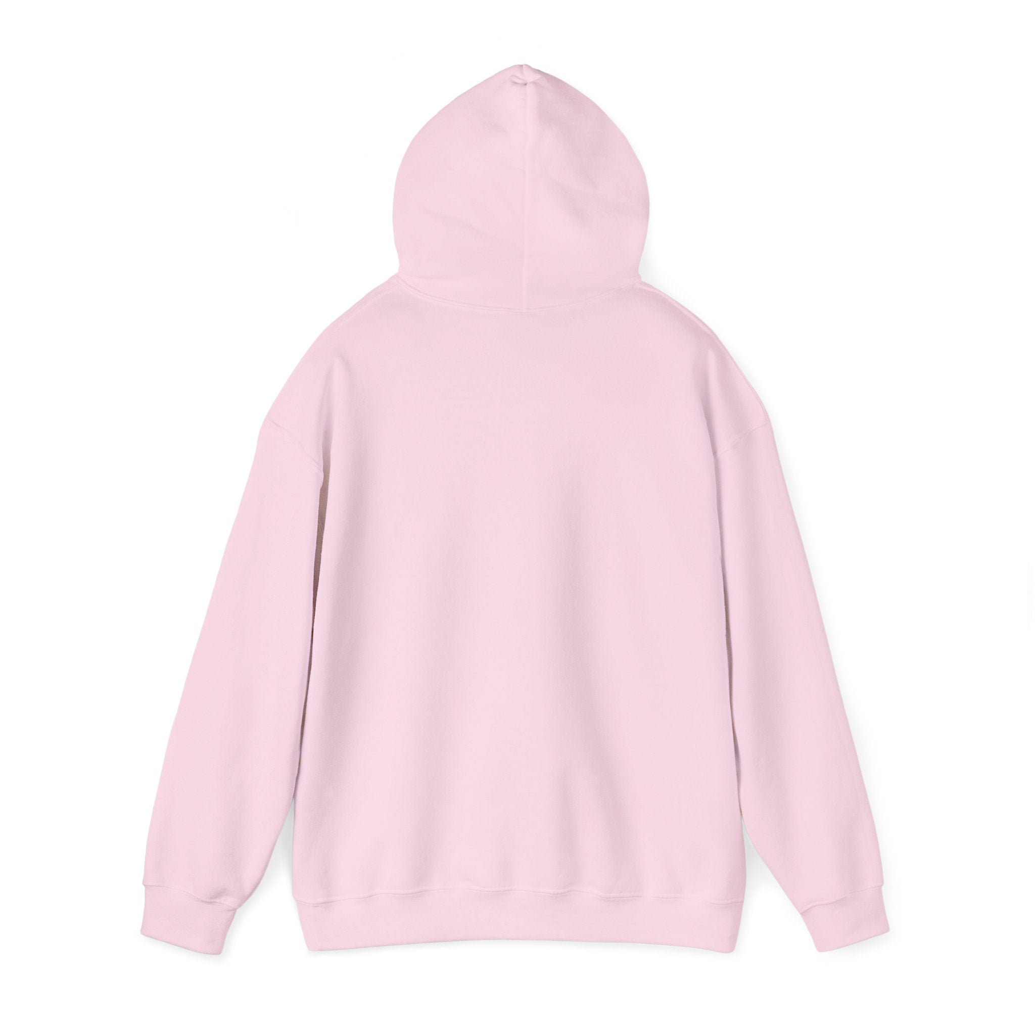 Sarcastic Rain Quote Sweatshirt Hoodie