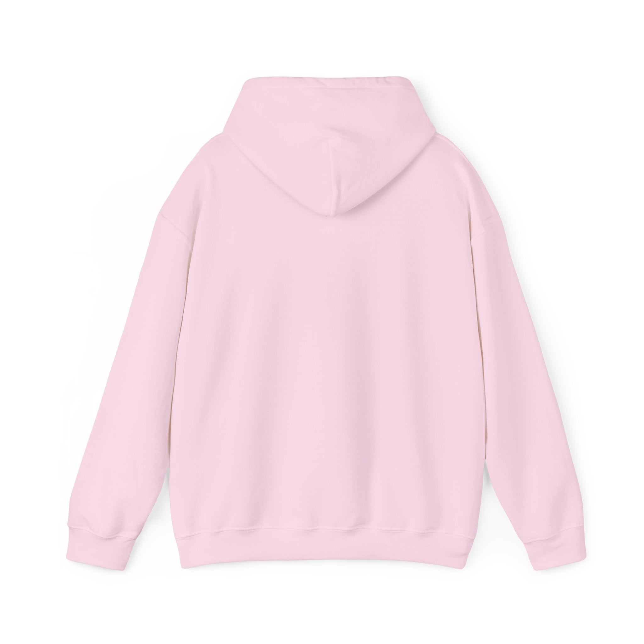 Sarcastic Rain Quote Sweatshirt Hoodie