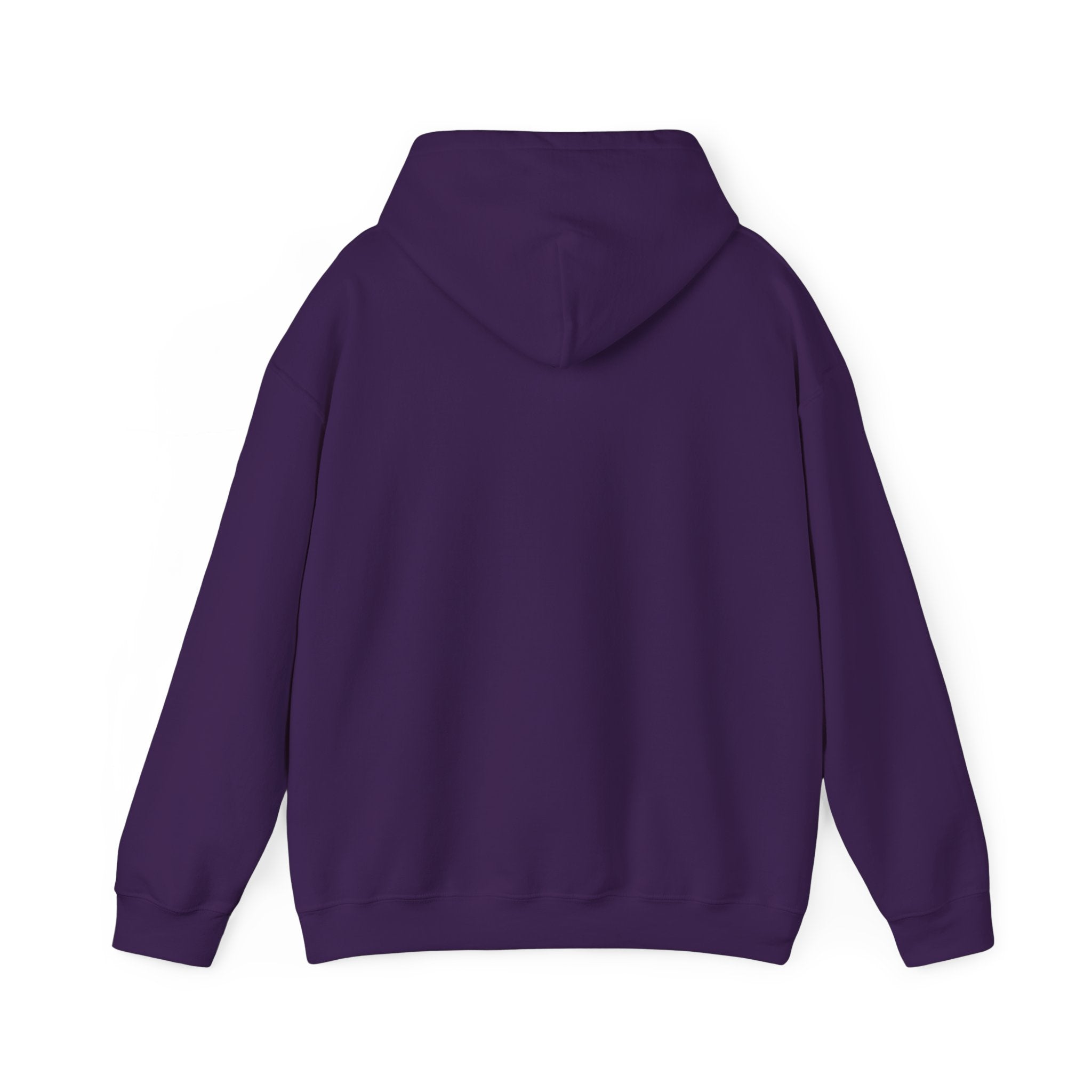 Sarcastic Rain Quote Sweatshirt Hoodie