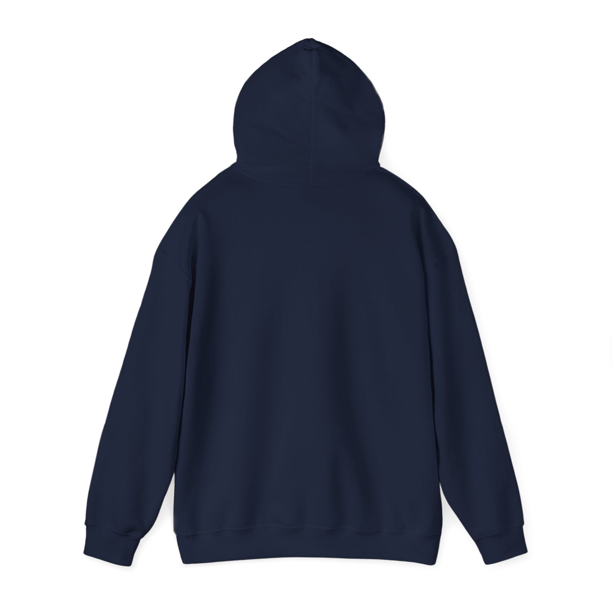 Sarcastic Rain Quote Sweatshirt Hoodie