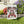 Garden flag with 'Mama Claus Moonshine Distillery' design on grass with flowers in the background
