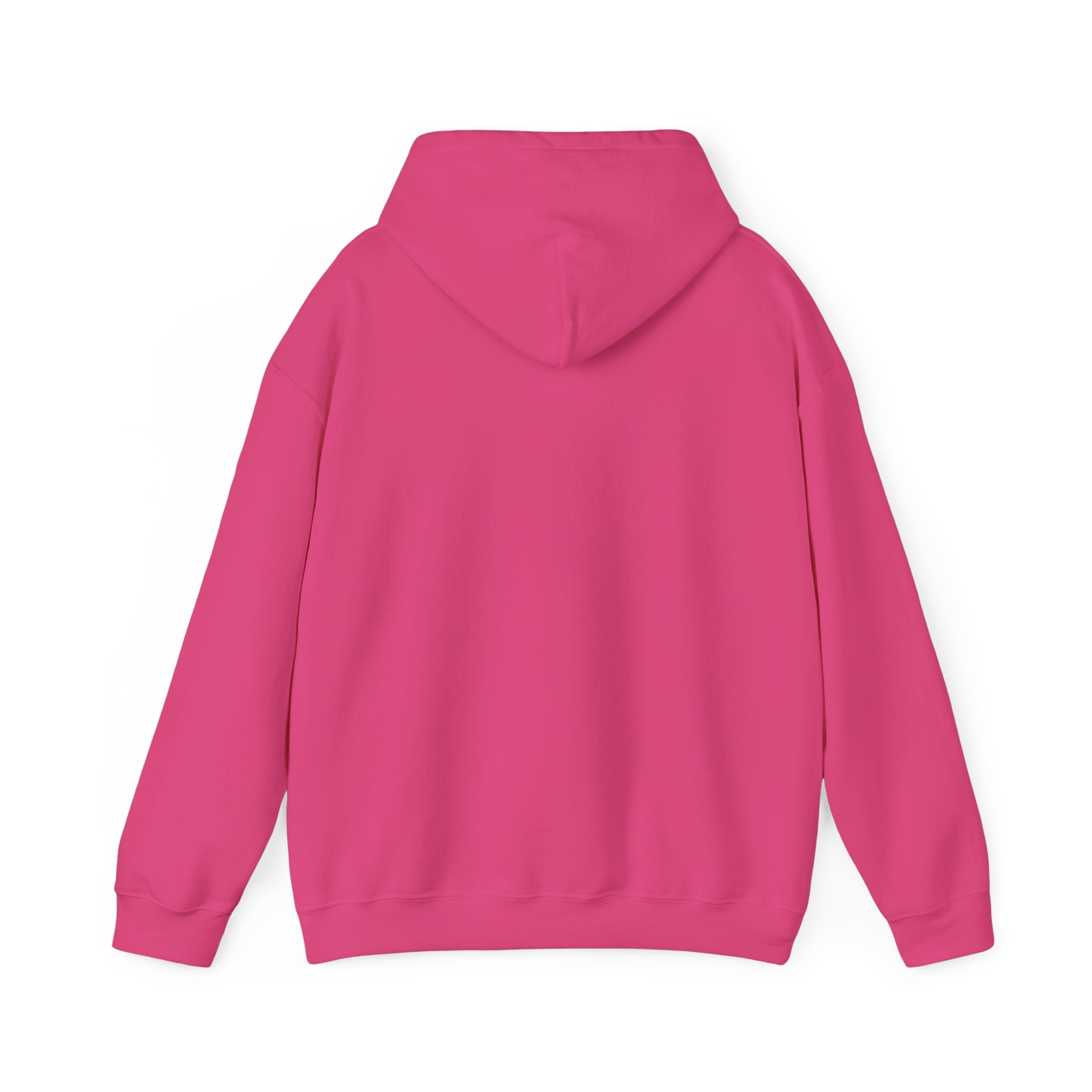 Sarcastic Rain Quote Sweatshirt Hoodie
