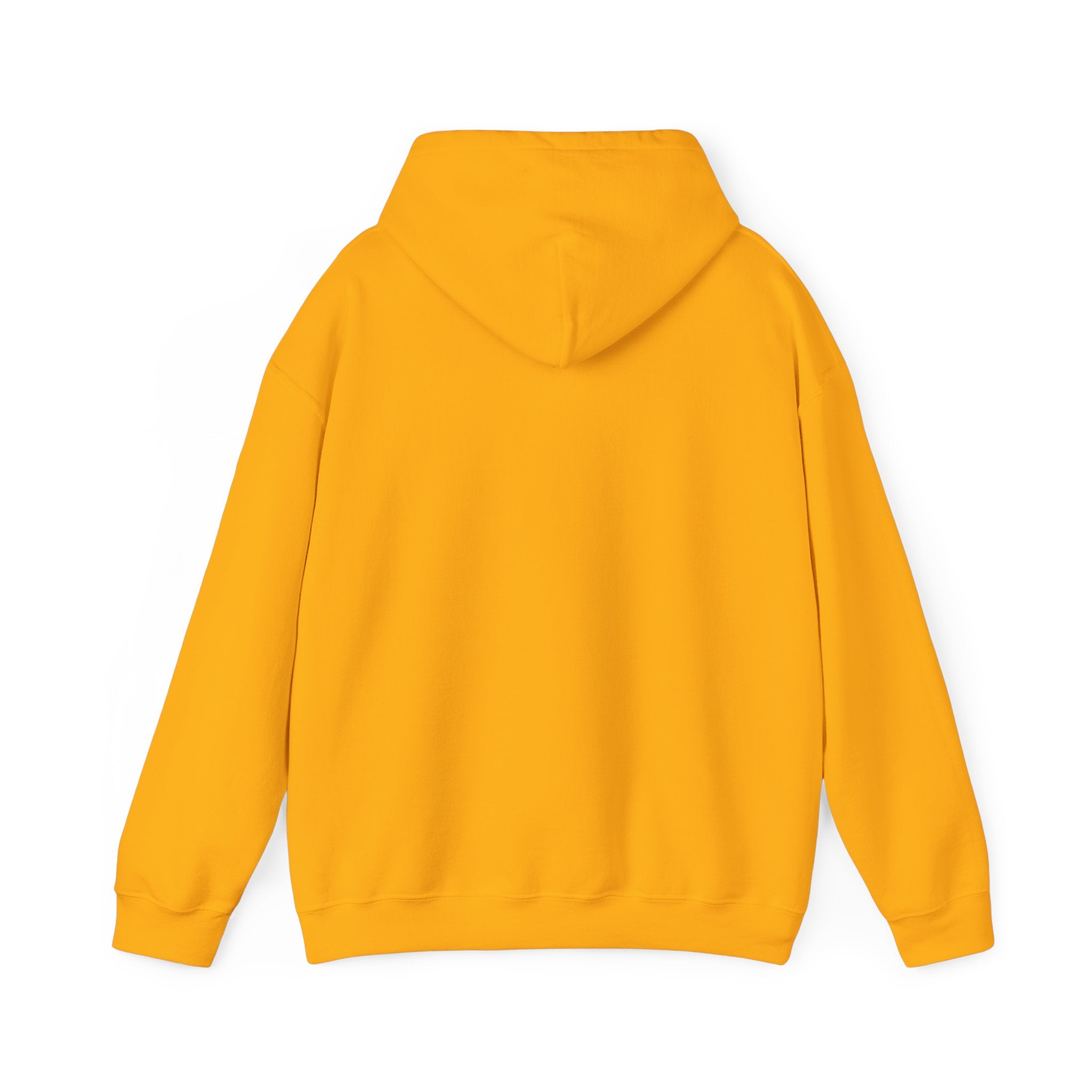 Sarcastic Rain Quote Sweatshirt Hoodie