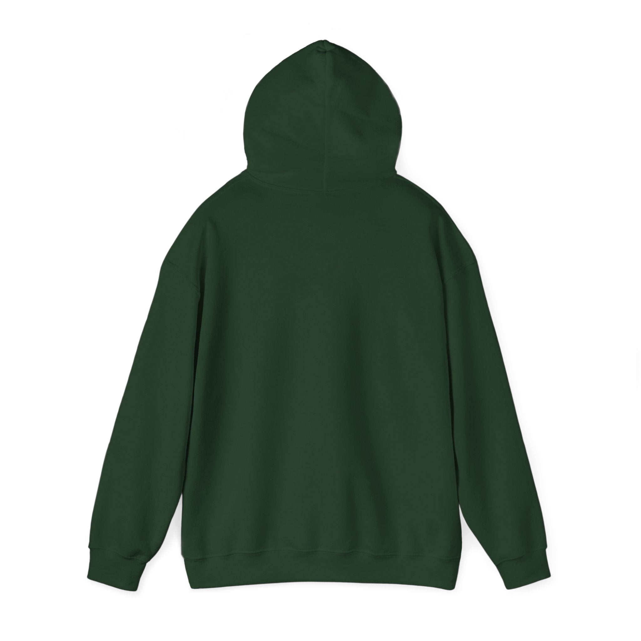Sarcastic Rain Quote Sweatshirt Hoodie