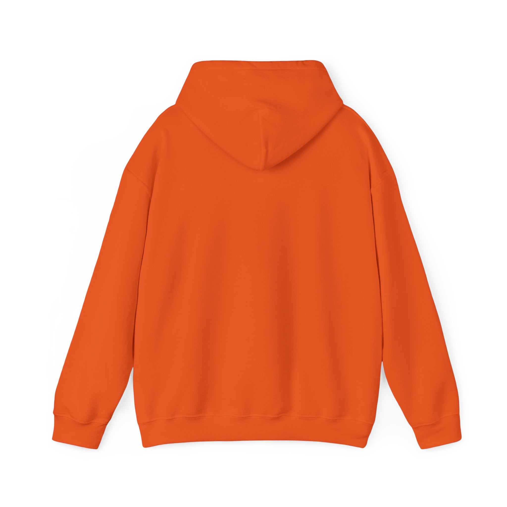Sarcastic Rain Quote Sweatshirt Hoodie