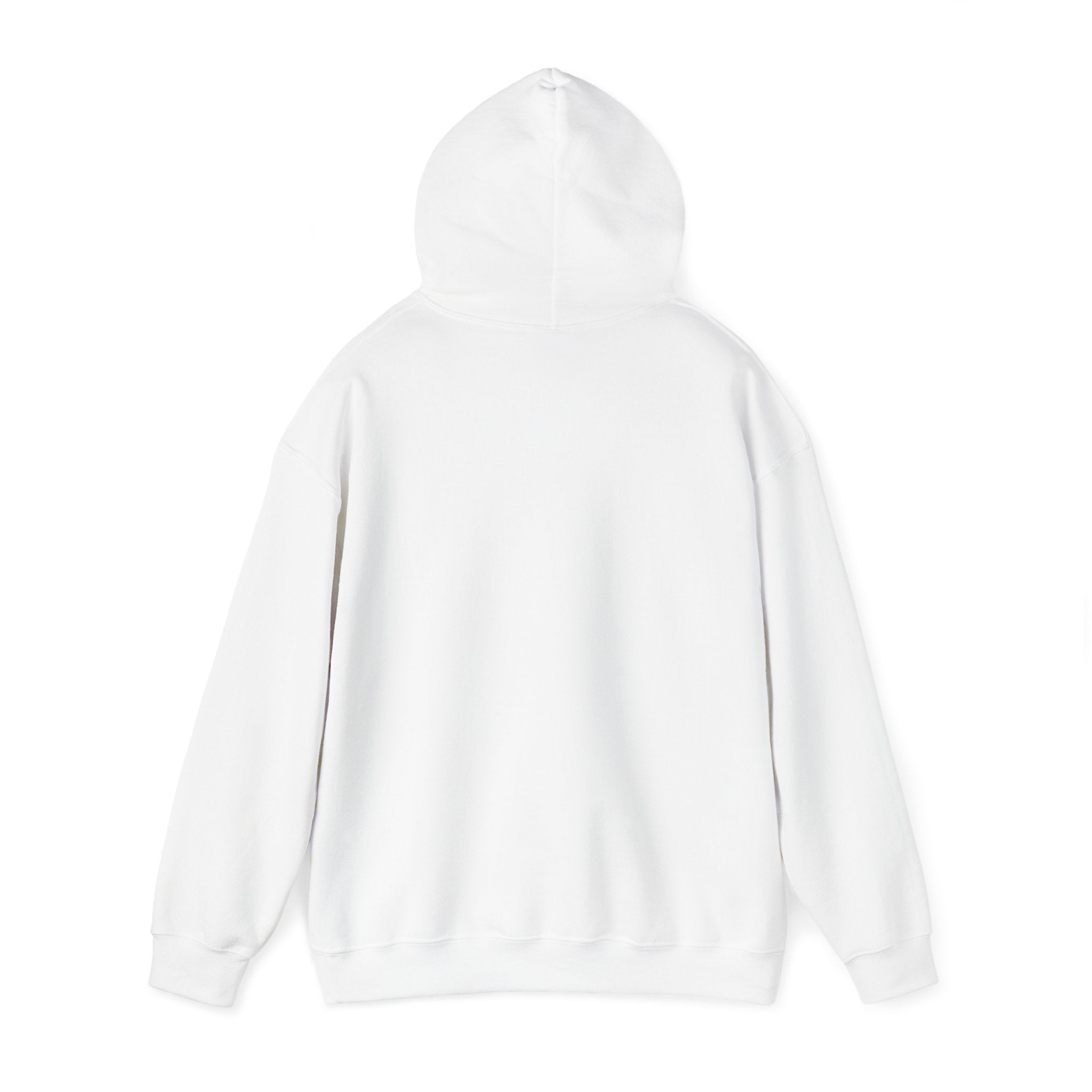Sarcastic Rain Quote Sweatshirt Hoodie