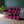 Pink & Black Diamond Checkered Throw
