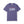 Embroidered Semiquincentennial July 4th T-Shirt Comfort Colors®