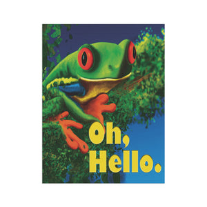 Garden flag with 'Oh Hello Frog Funny' design