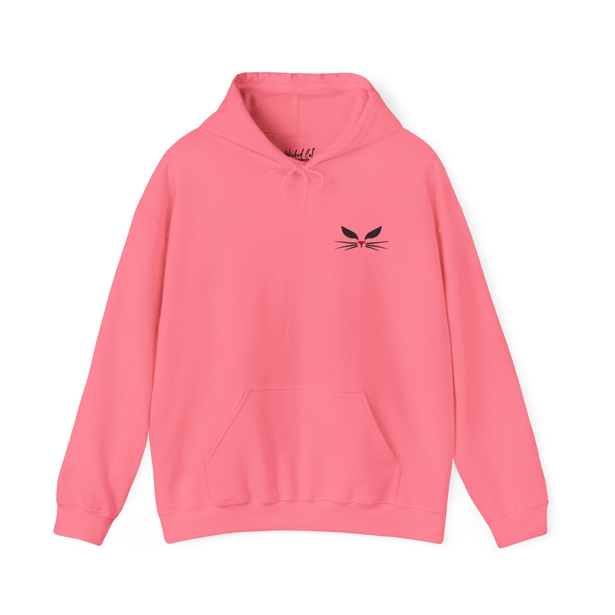 Wicked Cat Embroidered Sweatshirt Hoodie