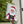 Funny Christmas Flag Santa Mug Shot Outdoor Yard Holiday Decor