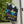 Adventure Awaits Funny Halloween Yard Flag