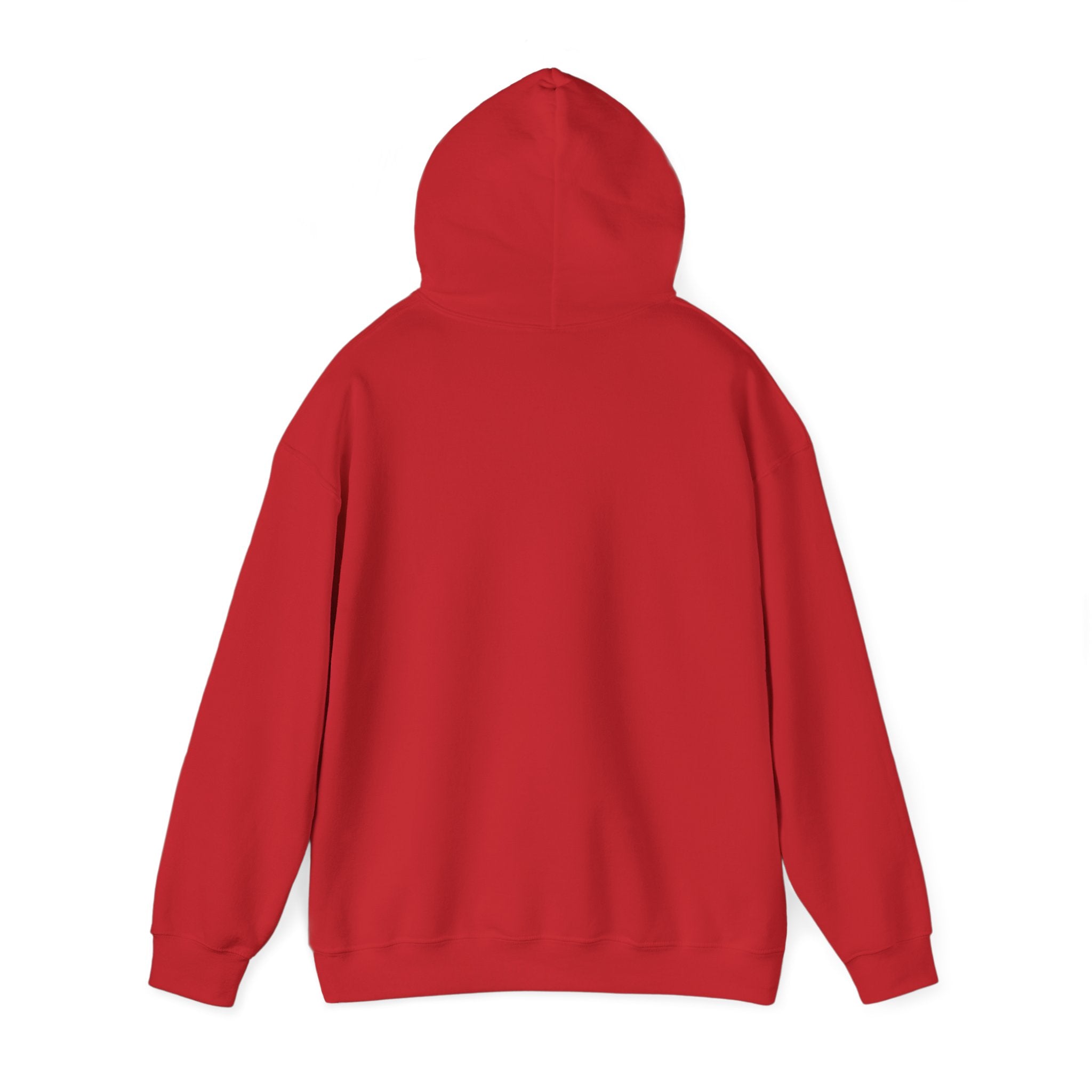 Sarcastic Rain Quote Sweatshirt Hoodie