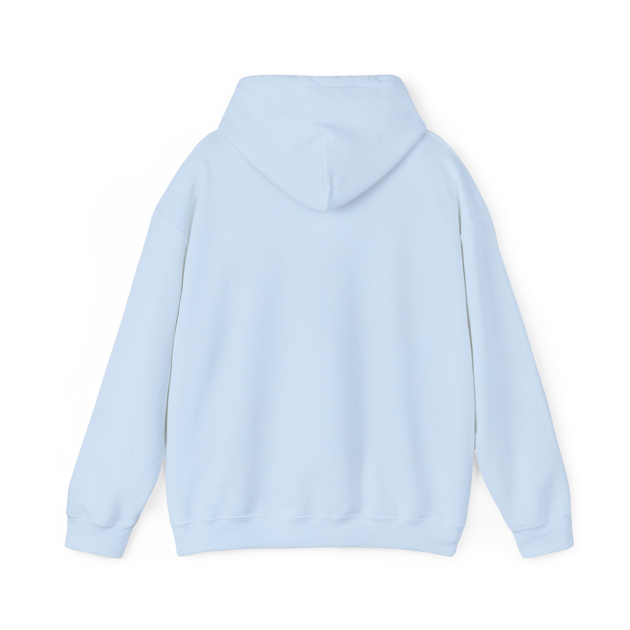 Sarcastic Rain Quote Sweatshirt Hoodie