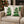Two square white throw pillows with a green holly and red berries pattern, styled on a beige fabric sofa in a cozy living room setting with a decorated Christmas tree in the background.