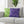 Green and purple chevron-patterned pillows on a gray sofa with a plant in the background.