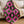 Pink and Green Modern Geometric Throw Blanket
